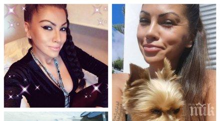 промяна звездата фактор сани алекса избяга испания шведа насилник