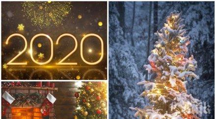 синоптиците разкриха сняг коледа нова година