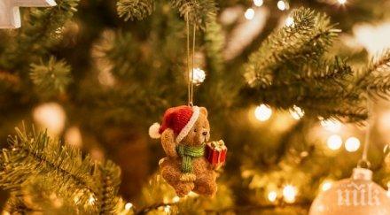 коледните светлини троян грейват ноември