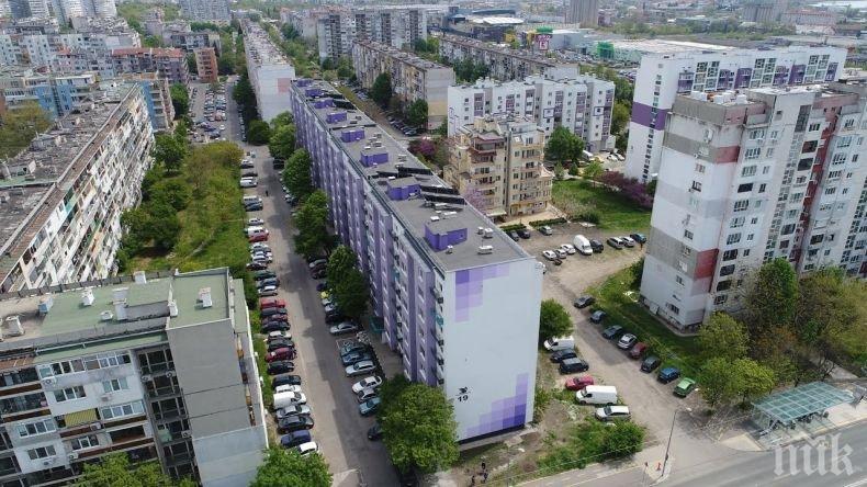 ЗЛОВЕЩА НАХОДКА: Трупове на котки осеяха бургаски квартал (СНИМКИ 18+)