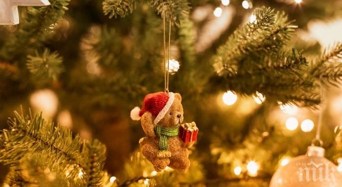 Коледните светлини в Троян грейват на 29 ноември