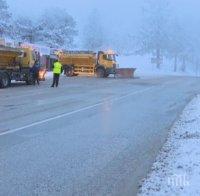 15 см сняг натрупа на Шипка