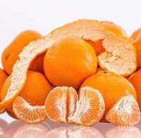 БАБХ спря вноса на близо 2 тона мандарини и лимони с пестициди