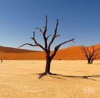 Изследване разкри кое е най-горещото място на Земята