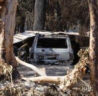 Пострадали от пожарите в Австралия занесоха останки от къщи на депутатите