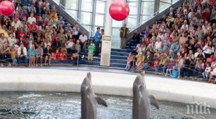 природозащитници поискаха закриването делфинариума варна
