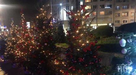 грозно откраднаха част коледната украса софия