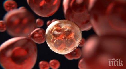 сензационно откритие микрогравитацията унищожава раковите клетки