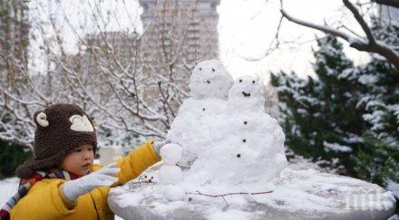 първи сняг падна пекин