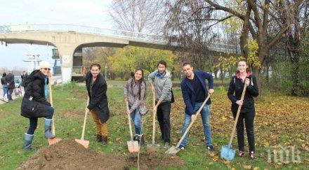 ентусиасти залесиха алеите гребния канал пловдив