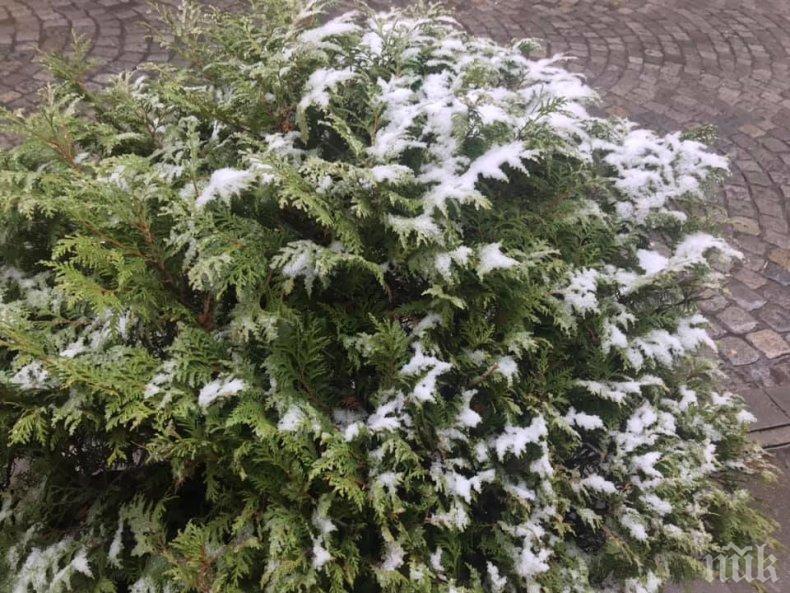 В София обработват със смеси против заледяване на високи и стръмни места