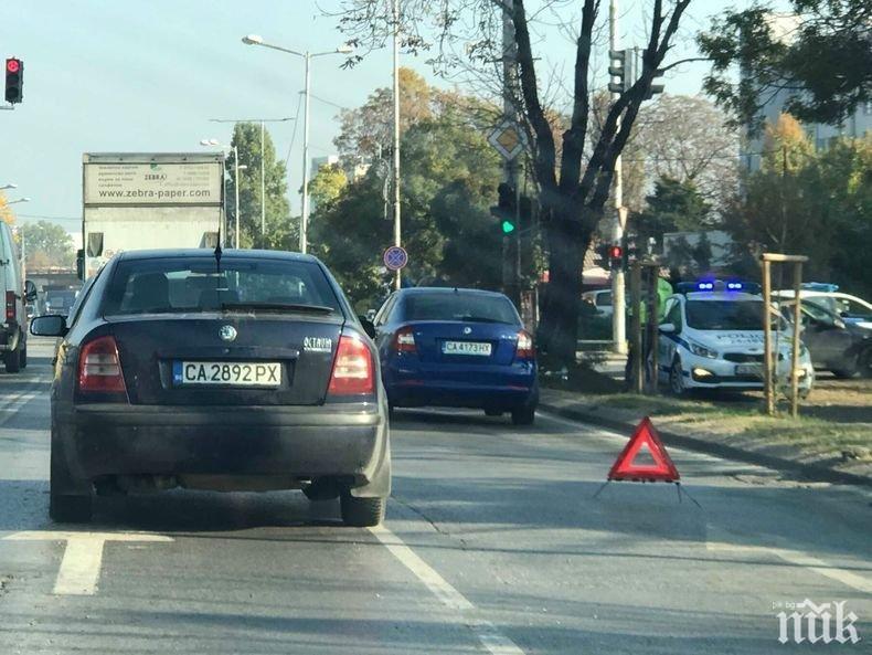 43 дни МВР издирва шофьор, убил велосипедист в столицата