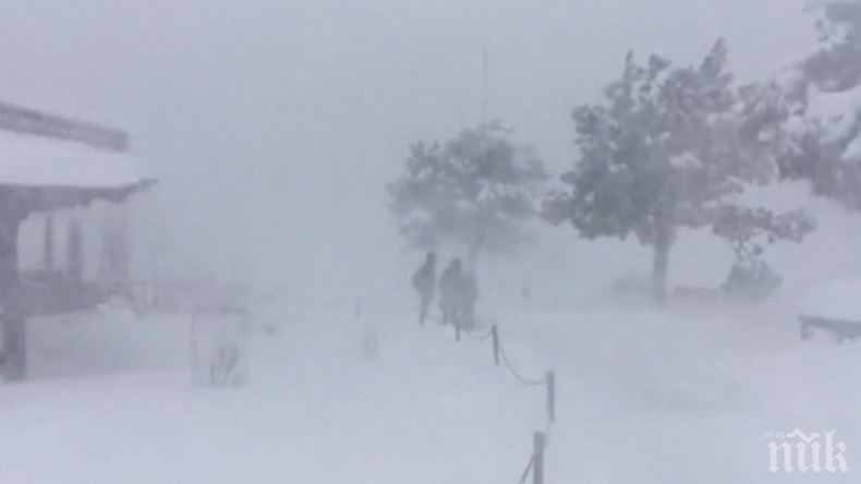Сняг покри Гранд Каньон и остави град в Аризона без електричество