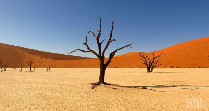 ЧУДО: Австралийка оцеля 12 дни в пустинята