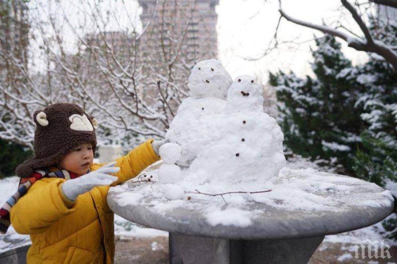 Първи сняг падна в Пекин