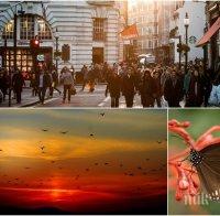 АПОКАЛИПСИС: Европа пред необратима екокатастрофа! 39% от пеперудите и 9% от птиците са изчезнали, горещи вълни връхлитат континента