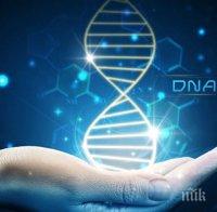 Учени установиха кои хора са следващият етап на човешката еволюция