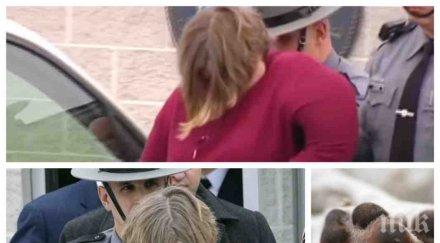 зловещо обвиниха американка убила децата прави секс куче