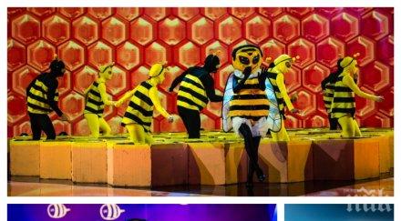 пик пчелата маскираният певец никой подозира чалга дива крие маската снимкидоказателства