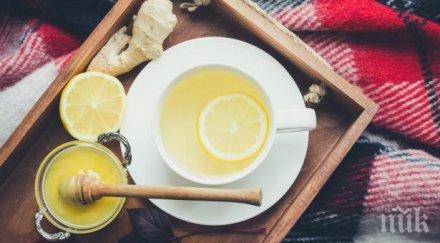 помощ природата яжте храни вирусите