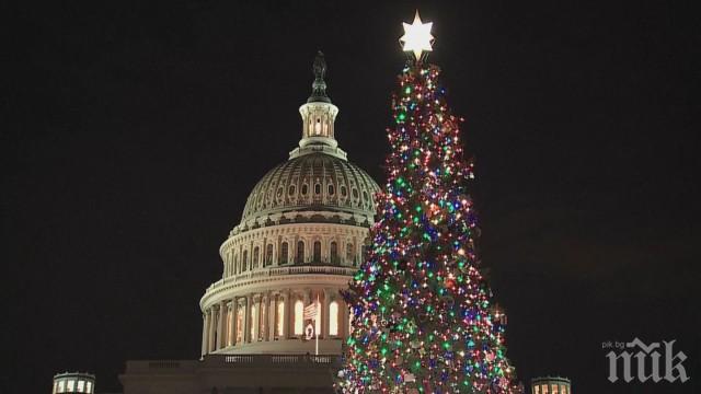 Коледното дърво на Вашингтон грейна пред Капитолия