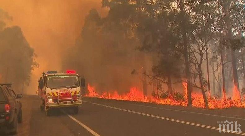 Бедствие: Пожарите в Австралия изпепелиха 70 000 хектара земя