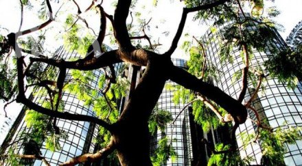 дават зелени звезди хотели предлагащи екопродукти