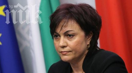 корнелия нинова осигурихме работа 000 младежи