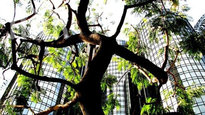 Дават зелени звезди на хотели, предлагащи екопродукти

