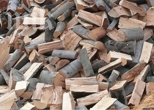 Дървар почина, притиснат от кон