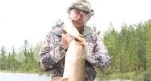 Путин разцелува гигантска щука