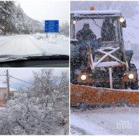 студът настъпва сняг затрупа проходите смолянско зимна обсада