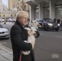 Борис Джонсън не гласува в своя избирателен район, взе кучето си до урните (ВИДЕО)