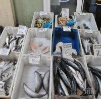БАБХ насочи за унищожаване 217 кг риба без документи, установена при проверките за Никулден