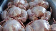 БАБХ ще взема проби от всяка пратка с птиче месо и субпродукти от Полша, предназначени за България