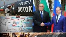 ВОЙНА ЗА ГАЗА: Лавров потвърди лошите новини за "Турски поток"! Инвестицията на България от 2 млрд. лева виси на кантар заради Конгреса на САЩ