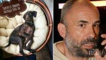 Рапърът Спенс търси кучето си, дава 1000 лева награда