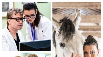 емоционално стилянова откраднат живот трогателен разказ първата любов случайна среща събра годишна раздяла снимки