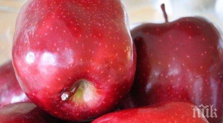 тревога червените ябълки света изчезват