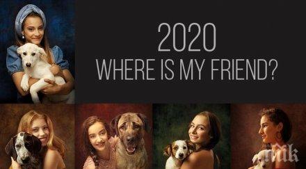 извънредно пик fibank илиана раева представят благотворителен календар златните момичета позират помощ бездомни животни снимки