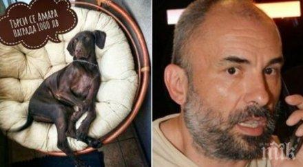 рапърът спенс търси кучето дава 1000 лева награда