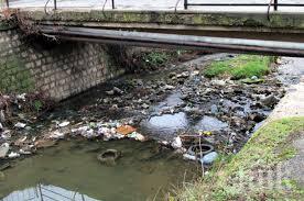 проверяват сигнали отровени замърсени реки