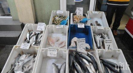 бабх насочи унищожаване 217 риба без документи установена проверките никулден