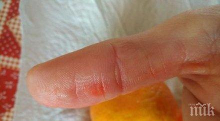 внимавайте купувайте цитрусови плодове наситен несвойствен силно оранжев цвят