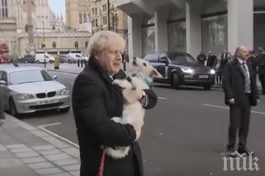 Борис Джонсън не гласува в своя избирателен район, взе кучето си до урните (ВИДЕО)