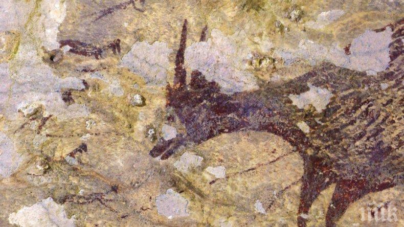 УНИКАЛНО: Скална рисунка в Индонезия се оказа на 44 000 години