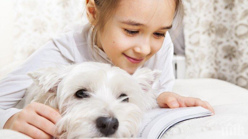 НАЙ-ДОБРИЯТ ПРИЯТЕЛ: Децата четат повече, ако в стаята има куче