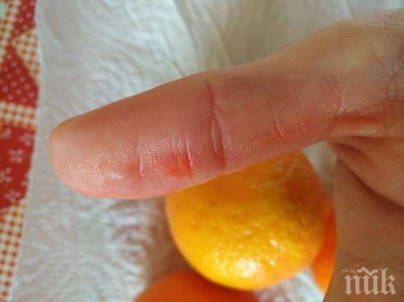 ВНИМАВАЙТЕ: Не купувайте цитрусови плодове с наситен, несвойствен и силно оранжев цвят
