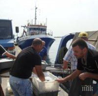 ЕС въвежда таван за улова на риба в Черно море