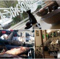 АКЦИЯ: НАП удари известен ресторант в Пловдив